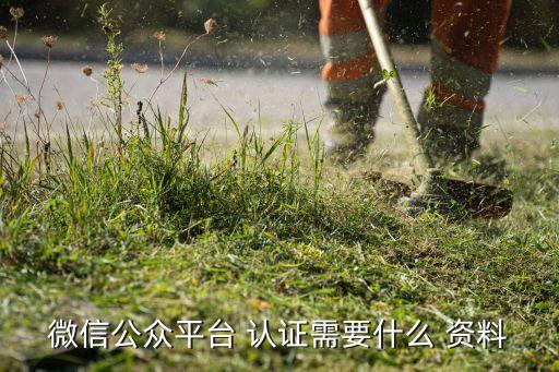 微信公众平台 认证需要什么 资料
