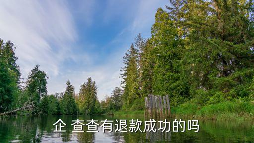 企 查查有退款成功的吗