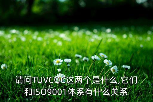 请问TUVCQC这两个是什么,它们和ISO9001体系有什么关系