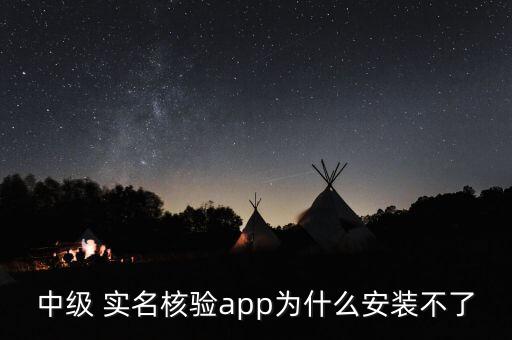 中级 实名核验app为什么安装不了