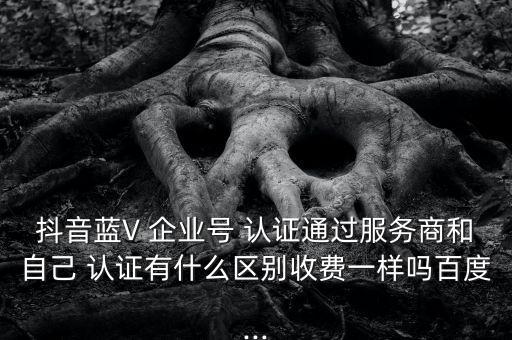 抖音蓝V 企业号 认证通过服务商和自己 认证有什么区别收费一样吗百度...