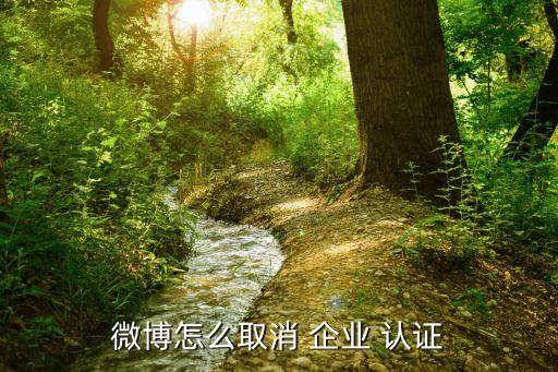 企业认证如何撤回重申,如何撤回实名认证