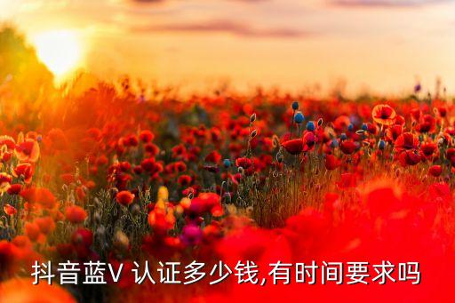 蓝v认证企业号开通,一个企业号可以认证几个蓝V