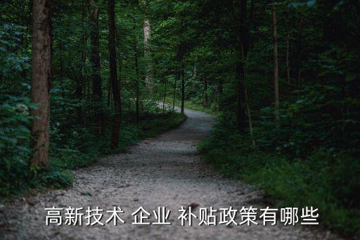  高新技术 企业 补贴政策有哪些