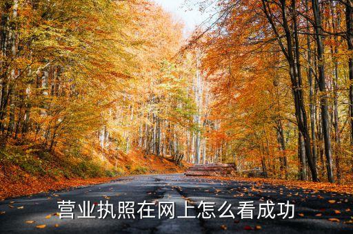 营业执照在网上怎么看成功