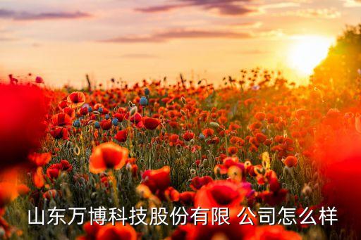  山东万博科技股份有限 公司怎么样