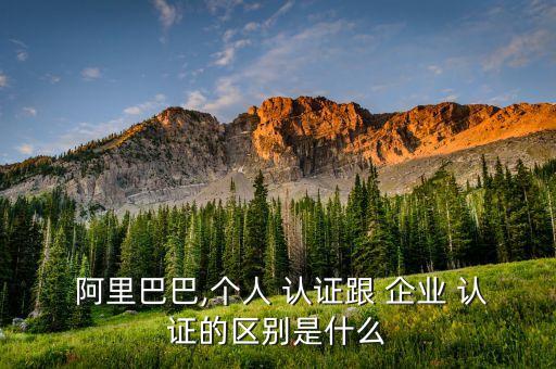 阿里巴巴企业技术认证