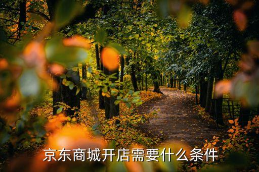  京东商城开店需要什么条件