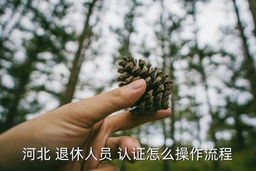河北 退休人员 认证怎么操作流程
