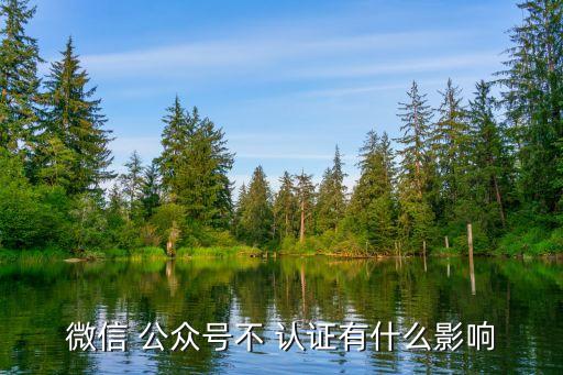 视频公众号企业认证可以不认证吗,企业公众号怎么认证视频号