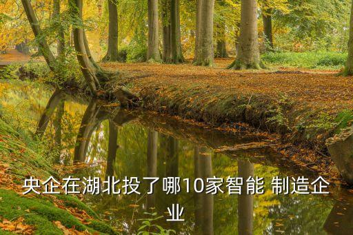 央企在湖北投了哪10家智能 制造企业