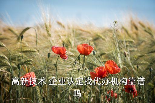  高新技术 企业认定找代办机构靠谱吗