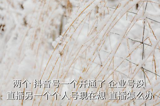 两个 抖音号一个开通了 企业号没 直播另一个个人号现在想 直播怎么办