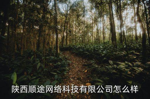 陕西顺途网络科技有限公司怎么样