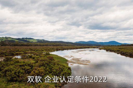  双软 企业认定条件2022