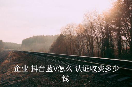  企业 抖音蓝V怎么 认证收费多少钱