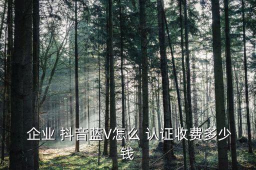  企业 抖音蓝V怎么 认证收费多少钱