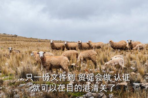...只一份文件到 贸促会做 认证就可以在目的港清关了