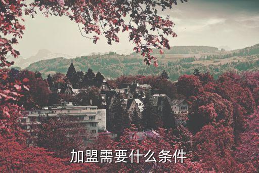加盟需要什么条件