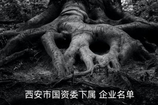  西安市国资委下属 企业名单