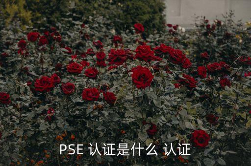 PSE 认证是什么 认证