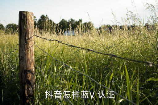  抖音怎样蓝V 认证