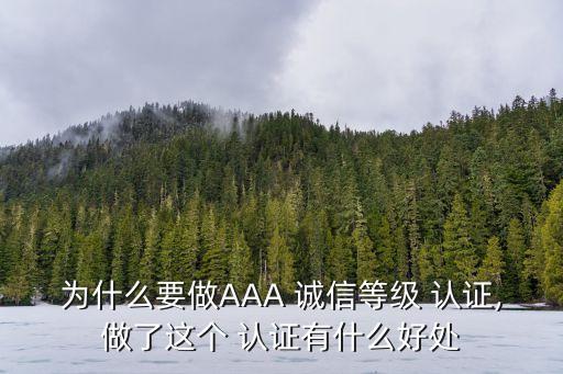 为什么要做AAA 诚信等级 认证,做了这个 认证有什么好处