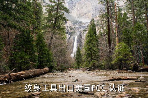  纹身工具出口美国FCC 认证