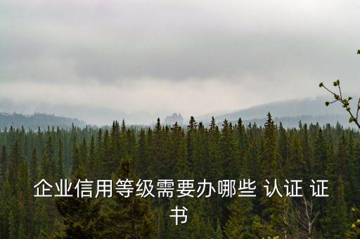  企业信用等级需要办哪些 认证 证书