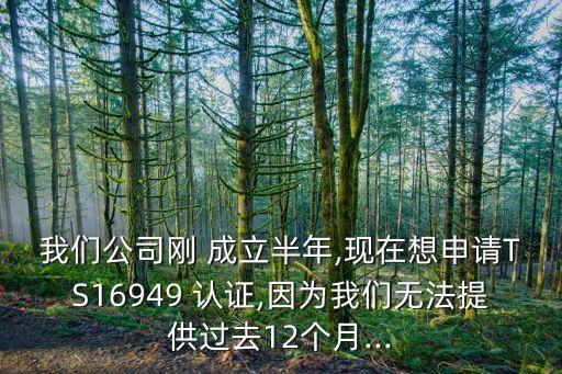 我们公司刚 成立半年,现在想申请TS16949 认证,因为我们无法提供过去12个月...
