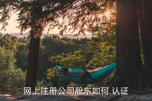 网上注册公司股东如何 认证