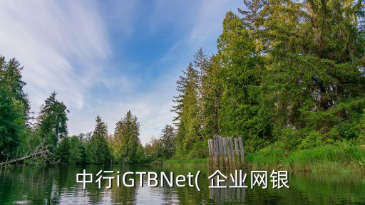 中行iGTBNet( 企业网银