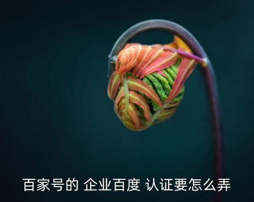热门企业号码认证流程,百度企业号码认证需要多少钱