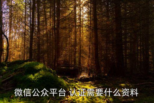 微信公众平台 认证需要什么资料