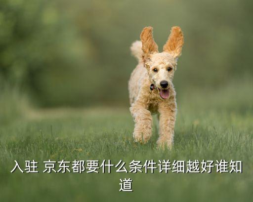 入驻 京东都要什么条件详细越好谁知道