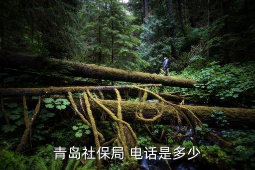 青岛社保局 电话是多少