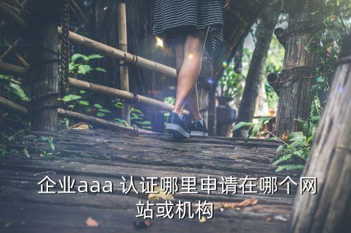  企业aaa 认证哪里申请在哪个网站或机构