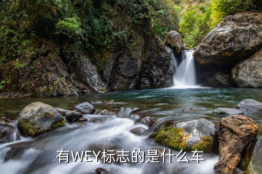 有WEY标志的是什么车