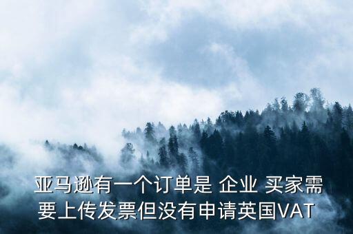  亚马逊有一个订单是 企业 买家需要上传发票但没有申请英国VAT