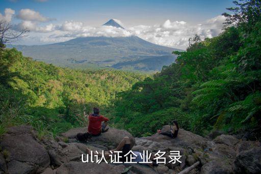 fm ul认证企业名录