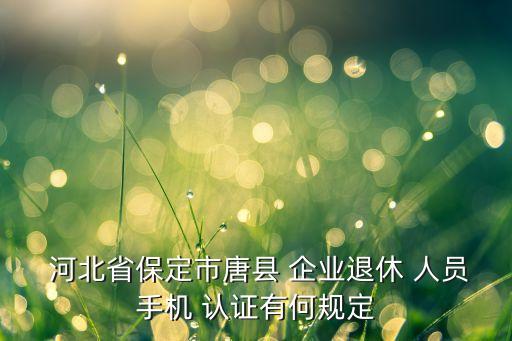河北企业人员认证,河北退伍人员网上怎么认证