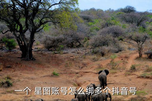 一个 星图账号怎么绑多个抖音号