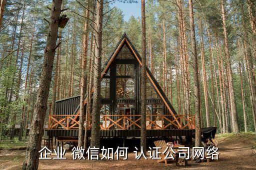 企业微信认证方式区别