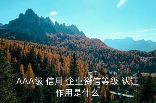 AAA级 信用 企业资信等级 认证作用是什么