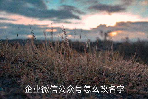  企业微信公众号怎么改名字