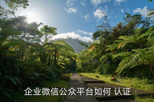  企业微信公众平台如何 认证