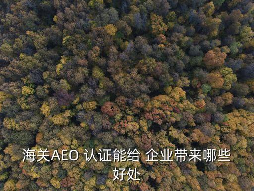海关AEO 认证能给 企业带来哪些好处
