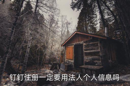 钉钉注册一定要用法人个人信息吗