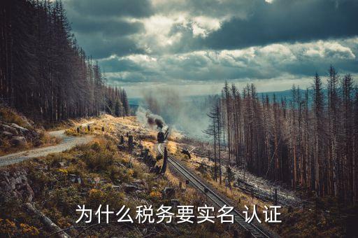 为什么税务要实名 认证