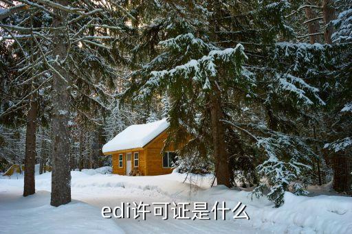 edi许可证是什么